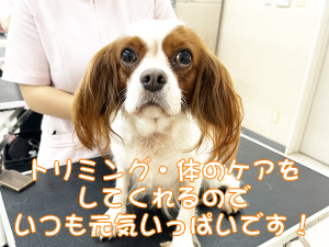 血液検査と健康チェック！